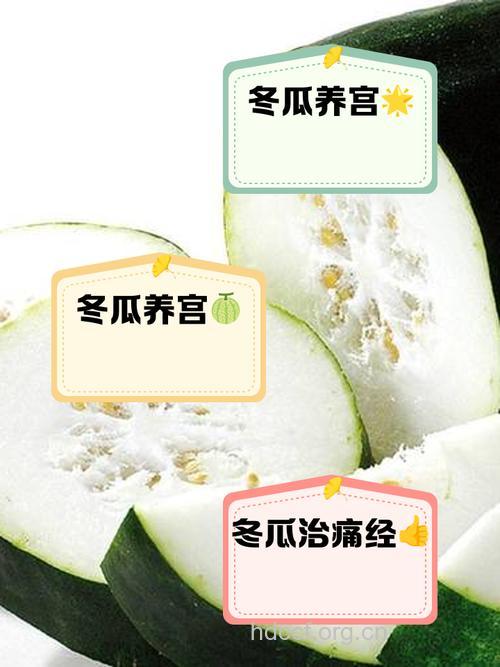 经期吃冬瓜好吗