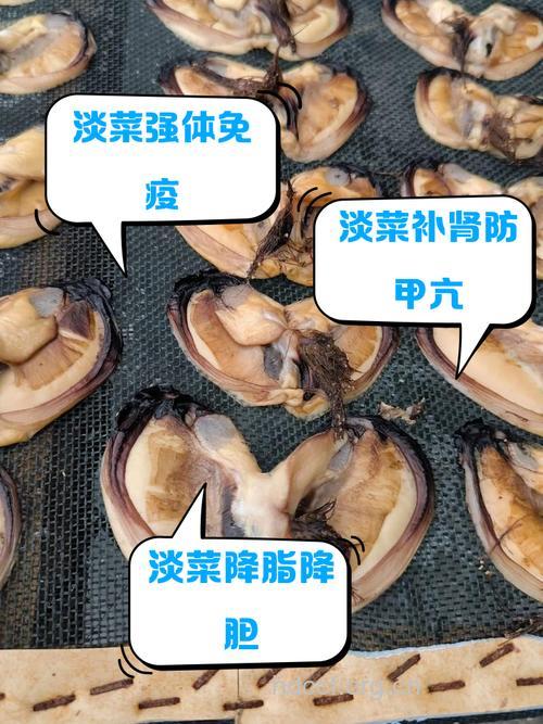 经期可以吃淡菜吗