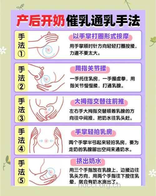 女性哺乳期保健要点