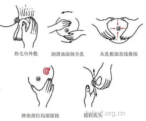 乳房保养 揉捏要适度