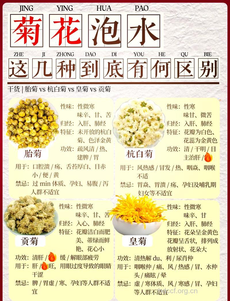 孕妇能喝菊花茶吗