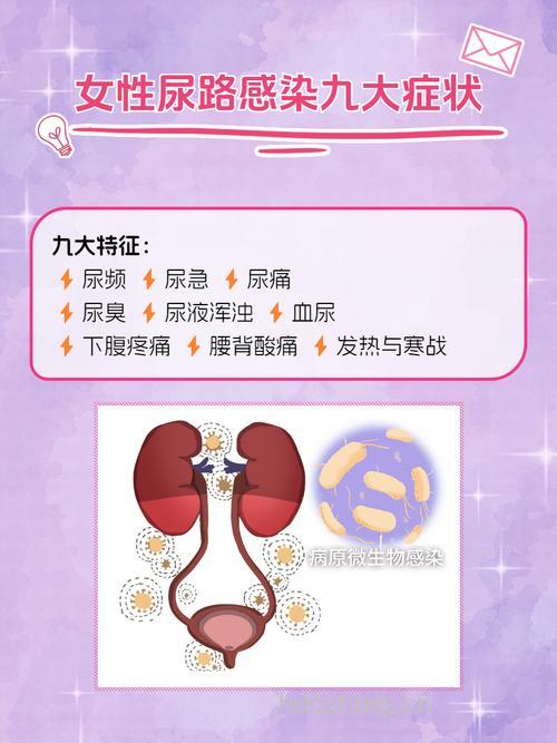 警惕:女性易患尿路感染