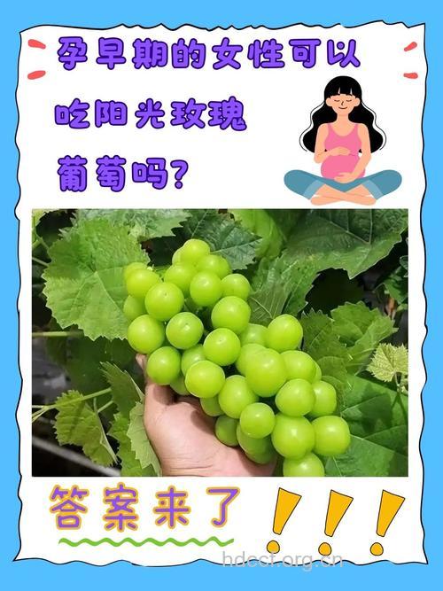 怀孕了能吃葡萄吗|怀孕了能吃葡萄吗