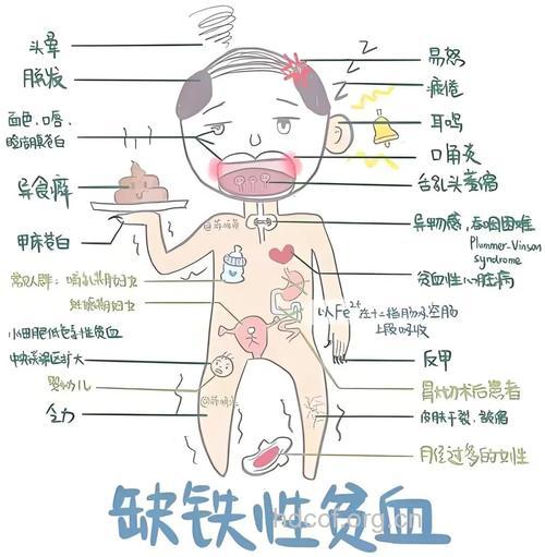 从身体的12个部位看你是否贫血