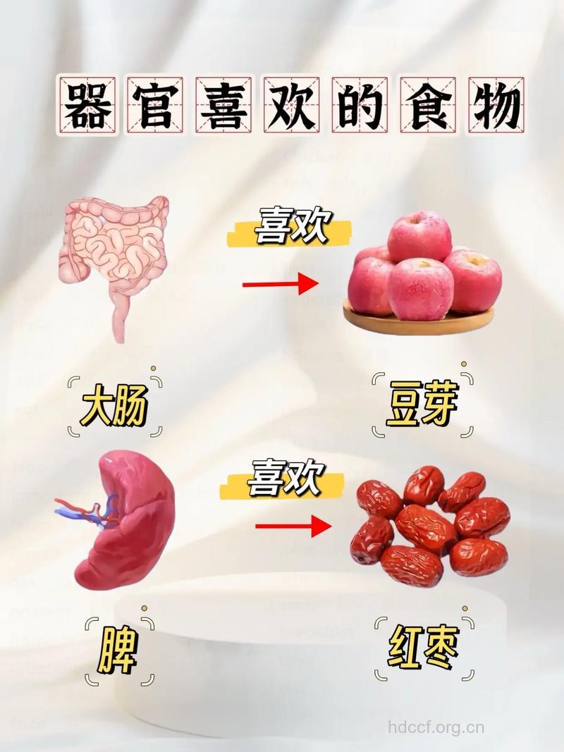 女性身体各器官最爱的食物