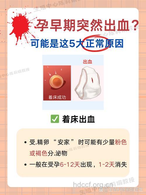 怀孕初期出血是怎么回事