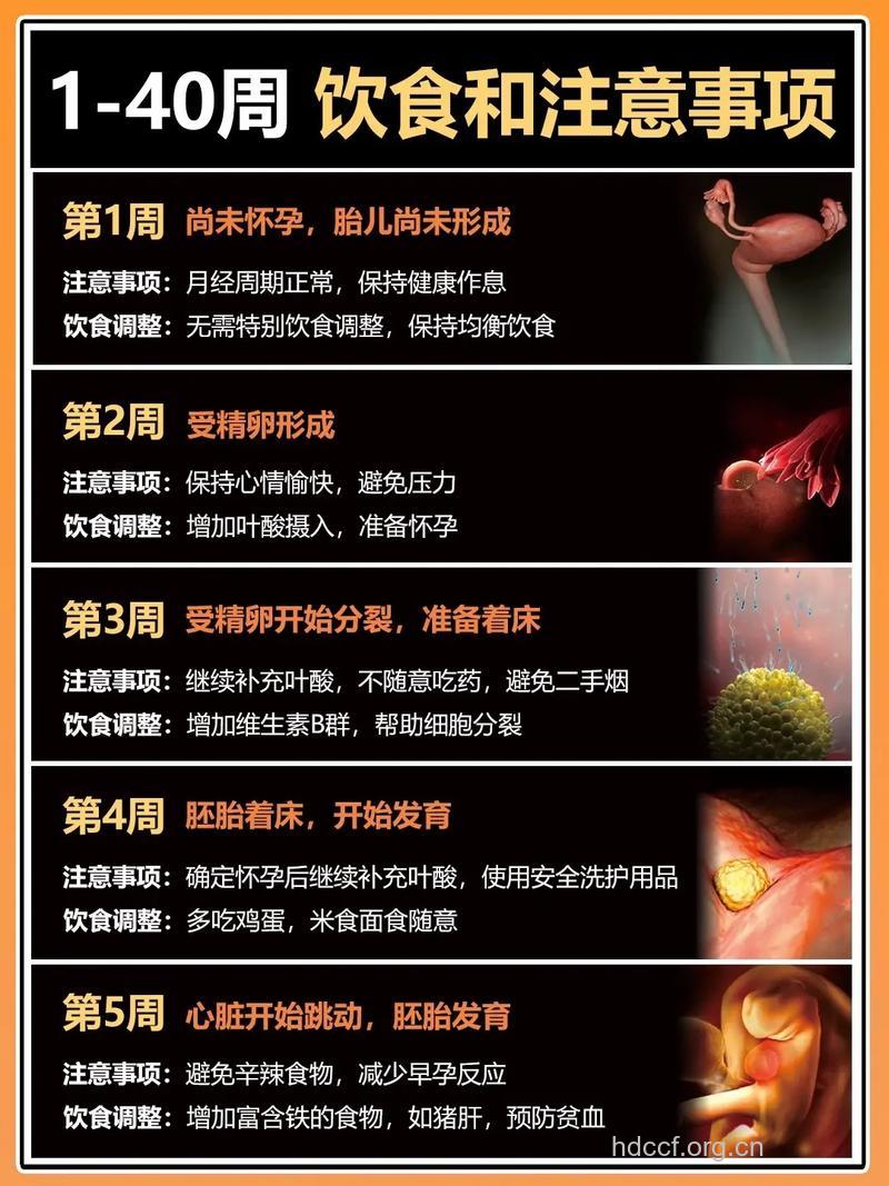 必看！10个“黑色受孕时间”！