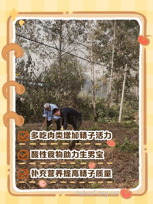 夫妻吃什么容易生男孩