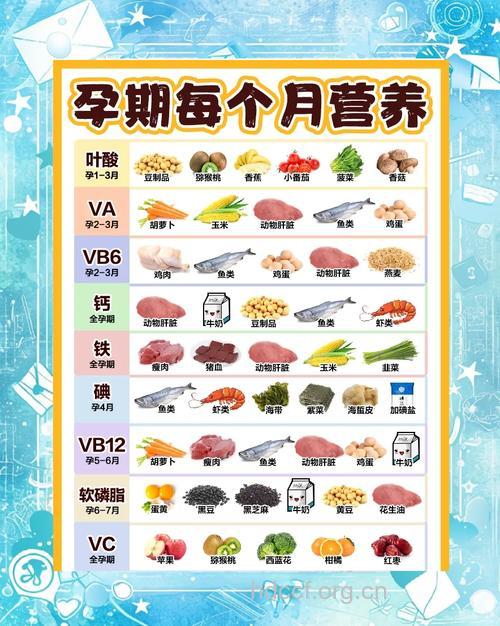 孕妇如何科学安排饮食来补血