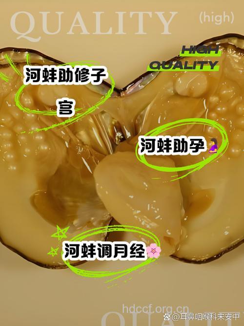 经期可以吃河蚌吗