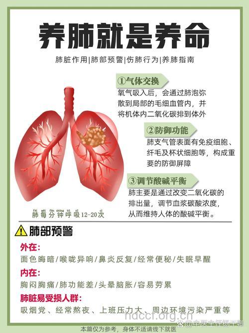 肺脏有了毒素 怎么办