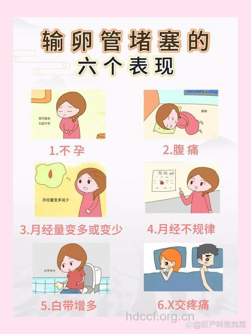 输卵管堵塞会有那些症状