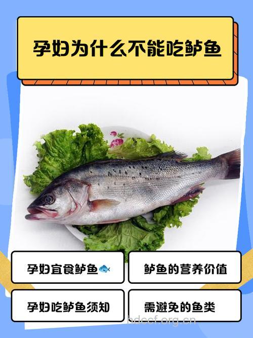 经期可以吃鲈鱼吗
