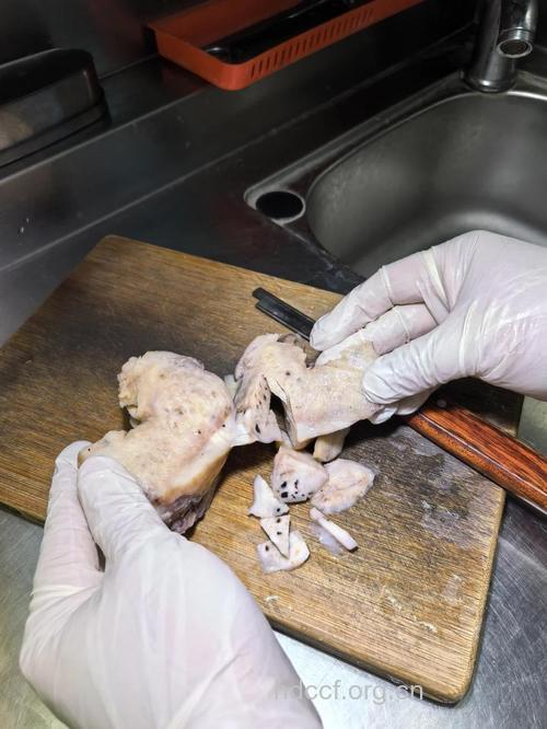 经期可以吃切面吗