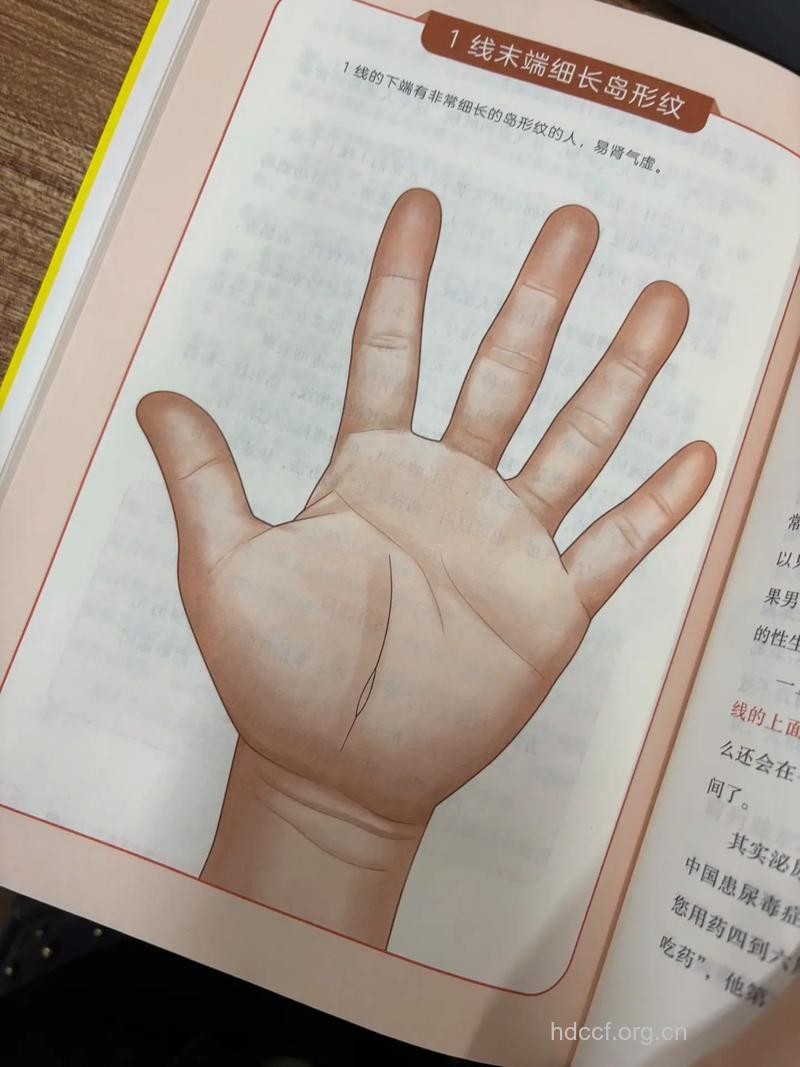 从掌纹看你的肾虚不虚