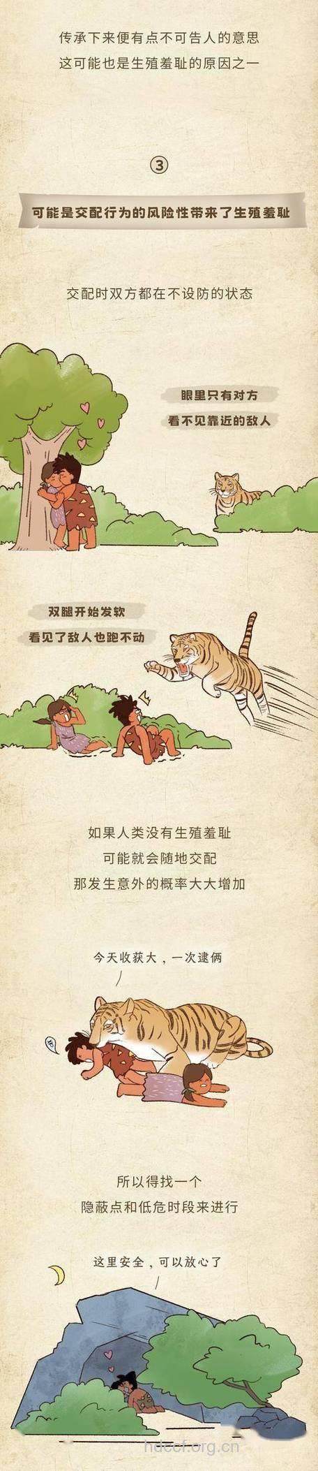 两种有害的性交行为