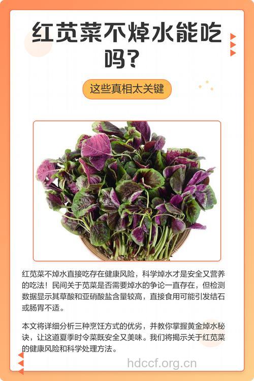 经期可以吃红苋菜吗
