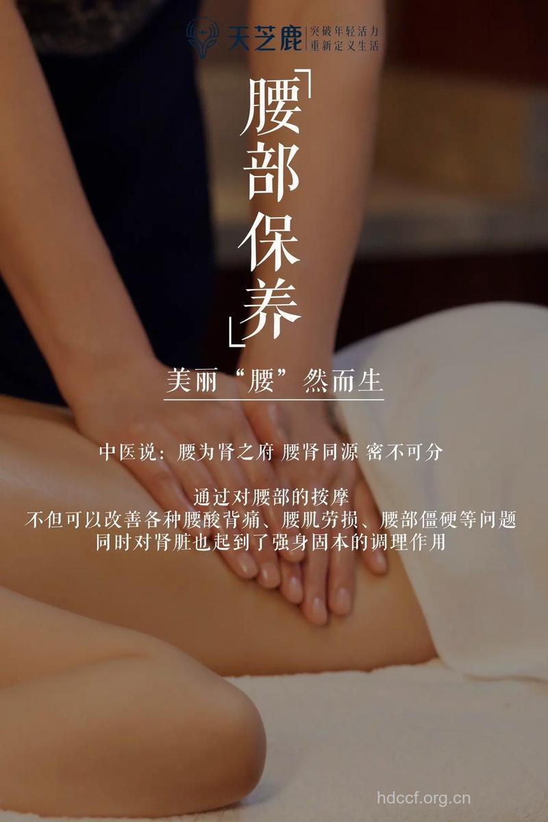 更年期怎样护理好腰部