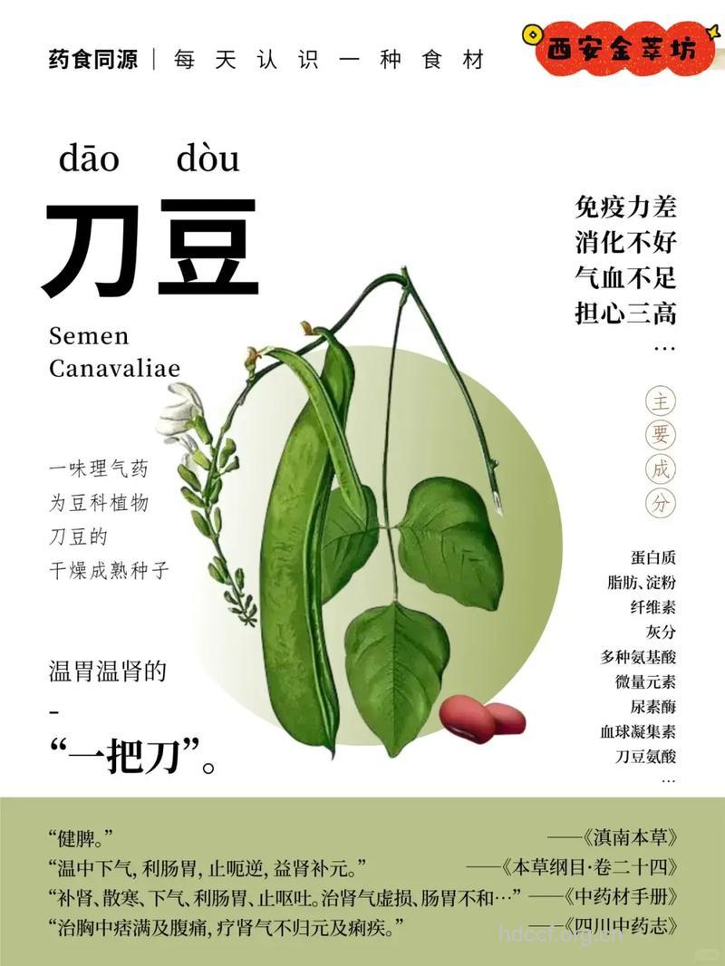 经期可以吃刀豆吗