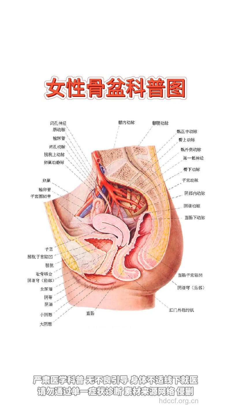 女人你了解自己的身体吗?