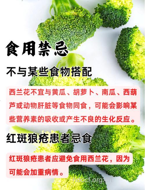 经期可以吃西兰花吗