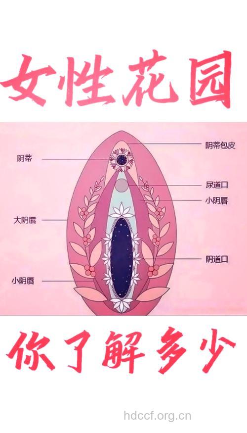 揭开女性私处的6个秘密