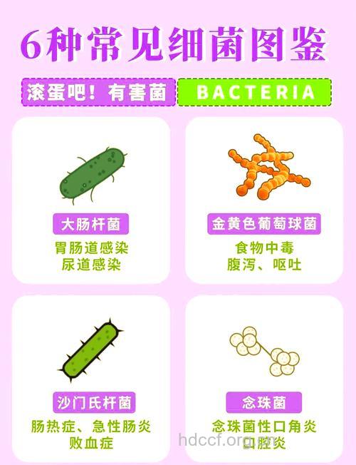 食物中的细菌该怎么处理