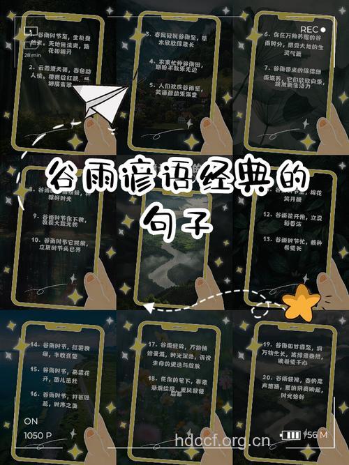 谷雨节气的谚语