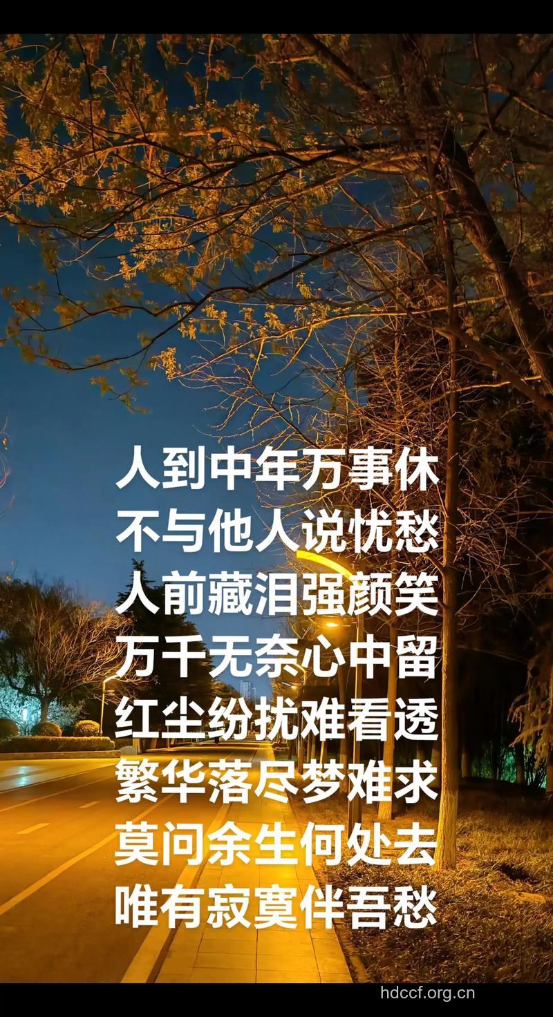 人到中年心就寂寞来了