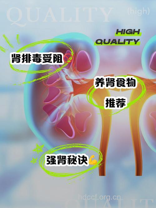肾脏有毒素的表现与排毒法