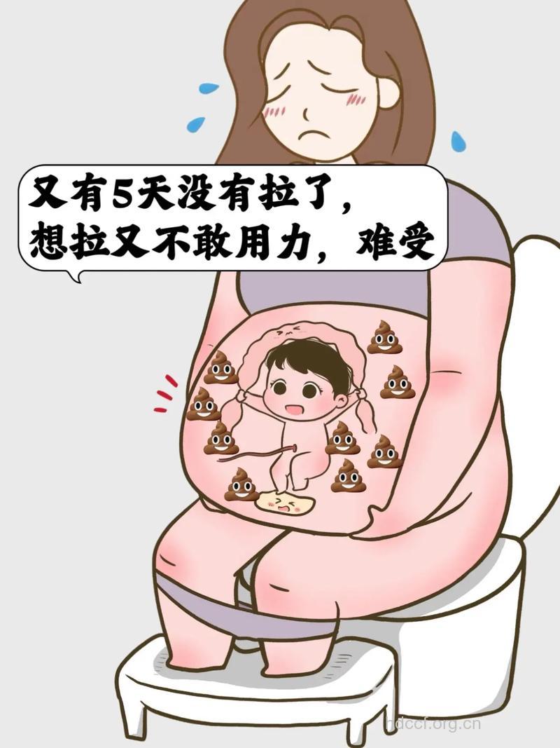 孕期小心便秘引发痔疮