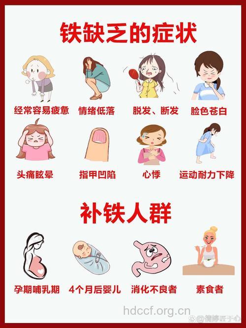 补铁四大误区女性需警惕
