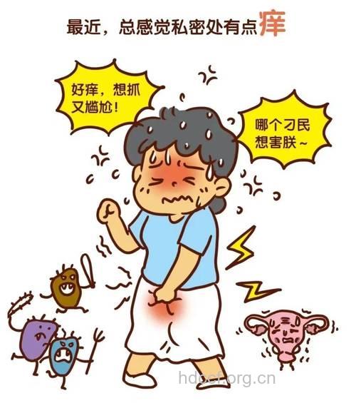 女性尿痛尿急或为阴道炎在捣乱