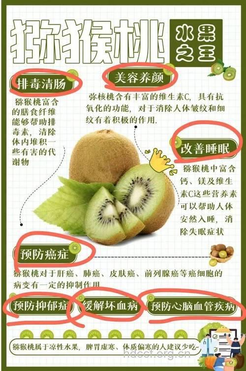 吃猕猴桃能排毒吗