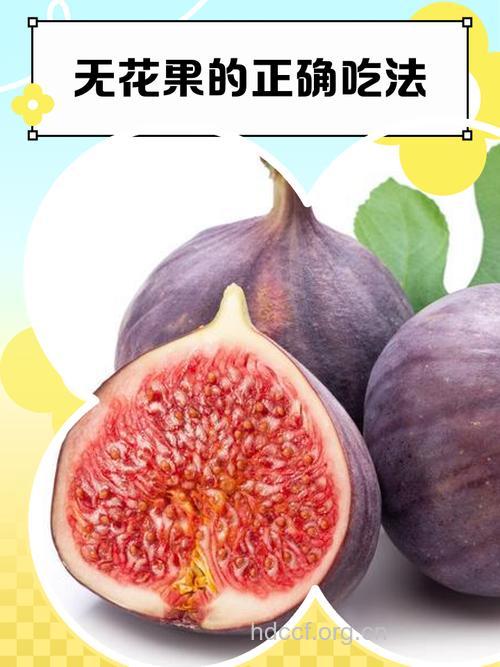 经期能吃无花果吗