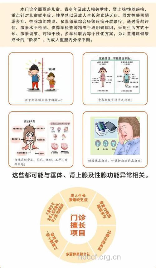 平衡内分泌的好习惯