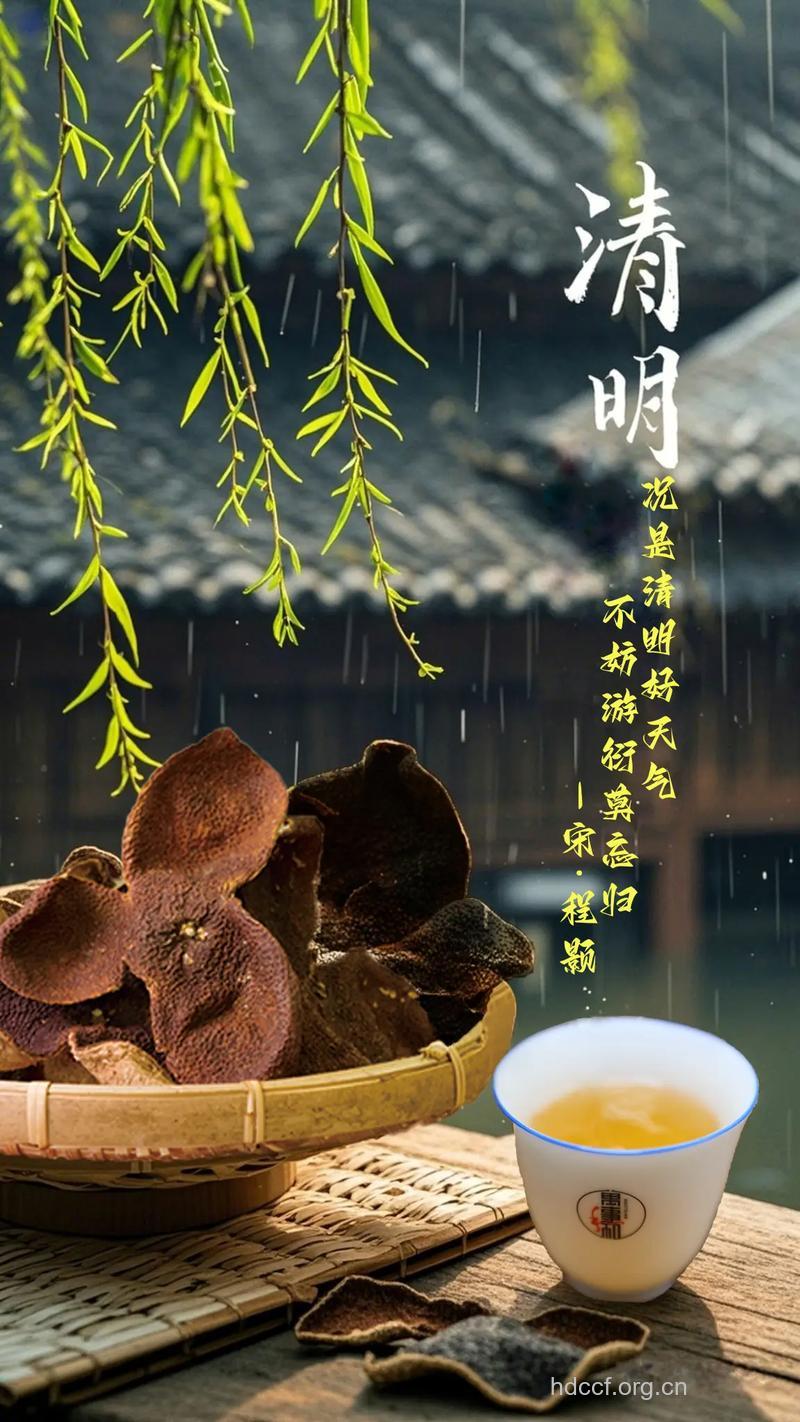 清明的天气怎么样