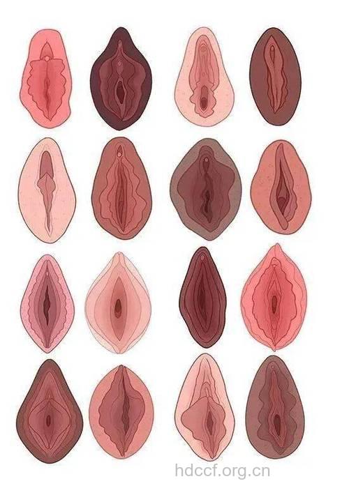 女性私密部位为何会变黑