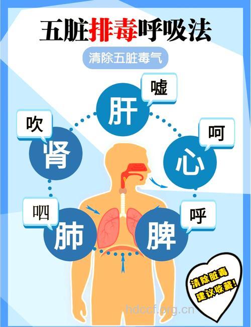 肺部怎么排毒