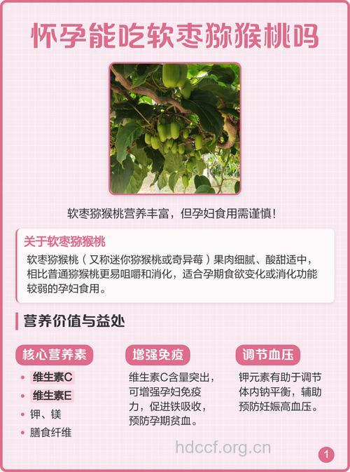 怀孕了可以吃猕猴桃吗