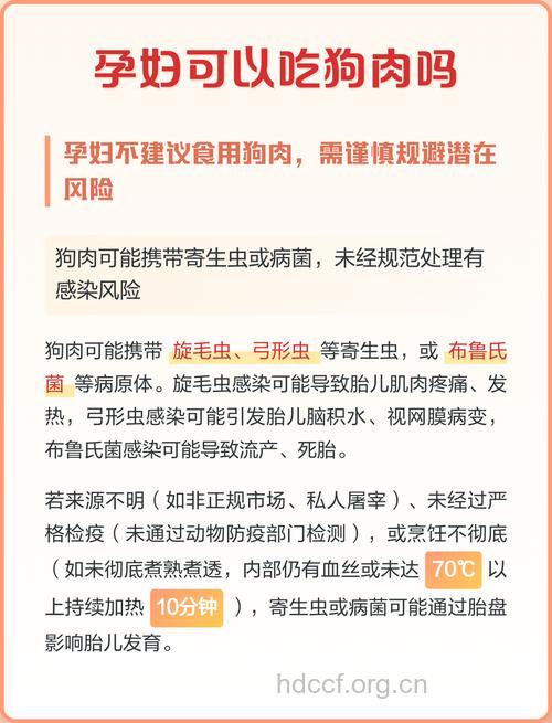 孕妇能吃狗肉吗
