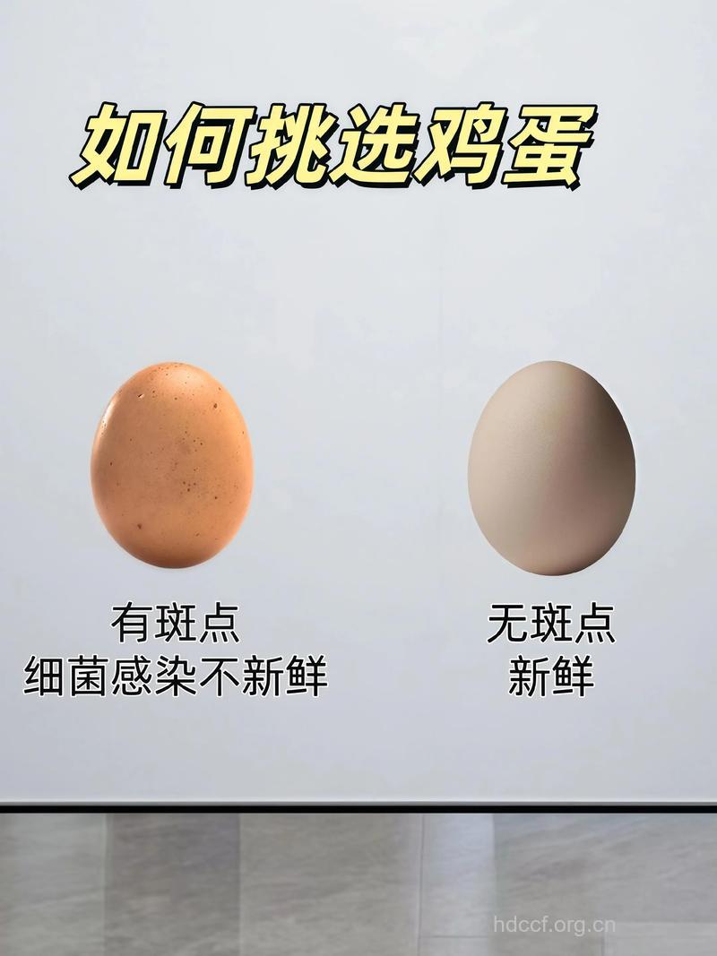 如何挑选新鲜的鸡蛋