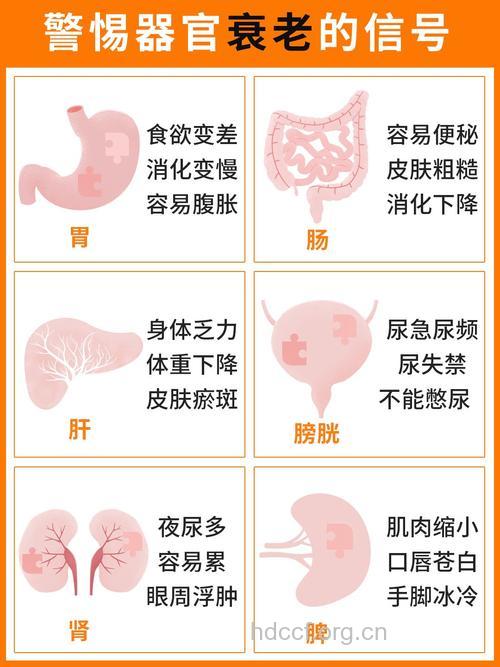 女性饮食过量或致胃肠疾病加速衰老