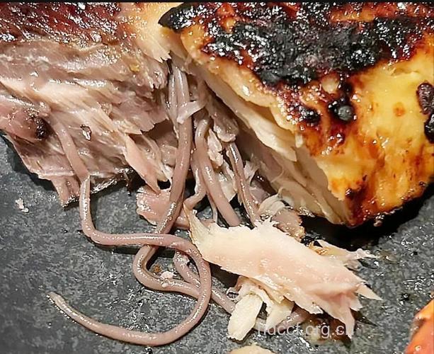 4种食物最易藏匿寄生虫