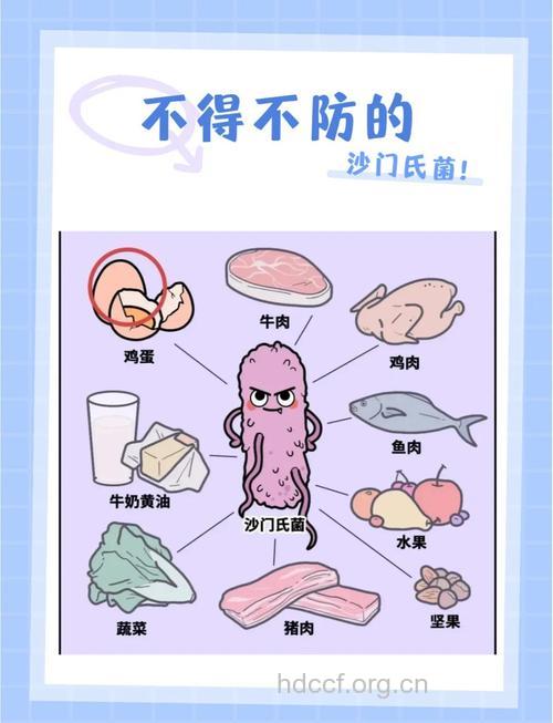 七种食物最容易滋生细菌