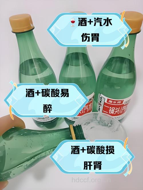 酒和碳酸饮料能一块喝吗