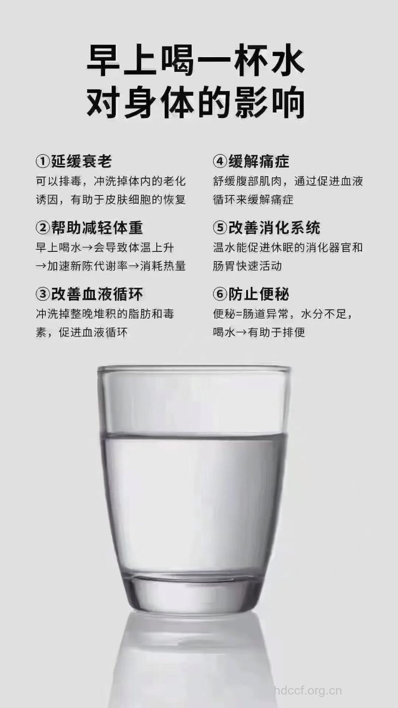 清晨的第一杯水怎么喝