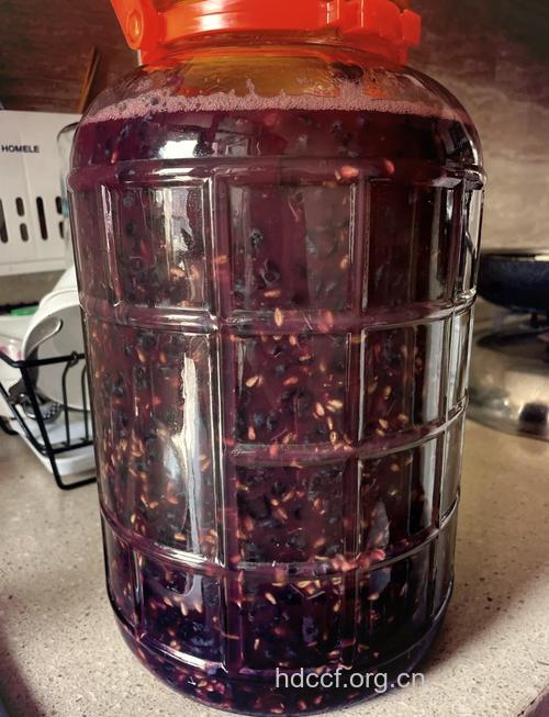 家庭自制葡萄酒方法