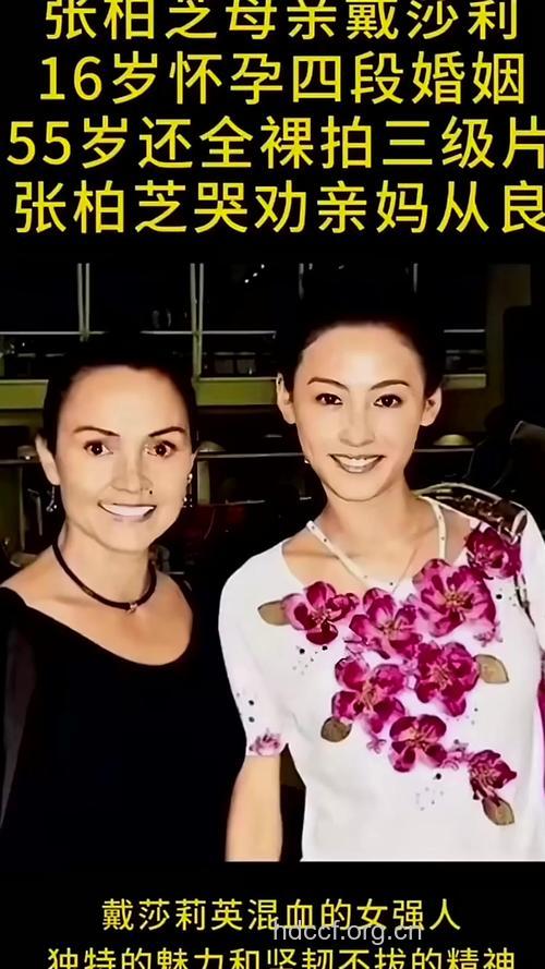 爆张柏芝复杂家庭关系|家庭背景