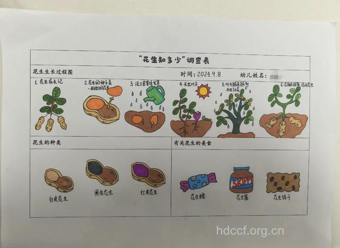 关于花生的小秘密